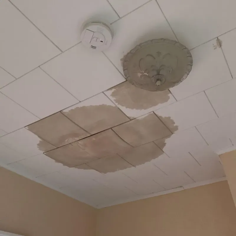 Ceiling Water Damage Repair in Rosemount, MN